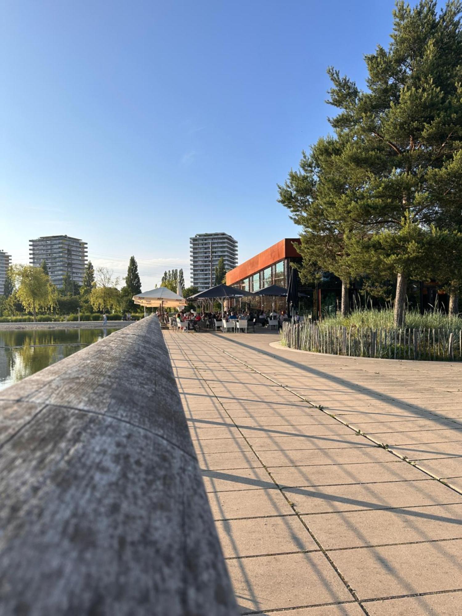 Amao-Brown I Exklusives City-Apartment I 85Qm I Privatparkplatz & Komfort I King-Size Bed Lahr  Luaran gambar